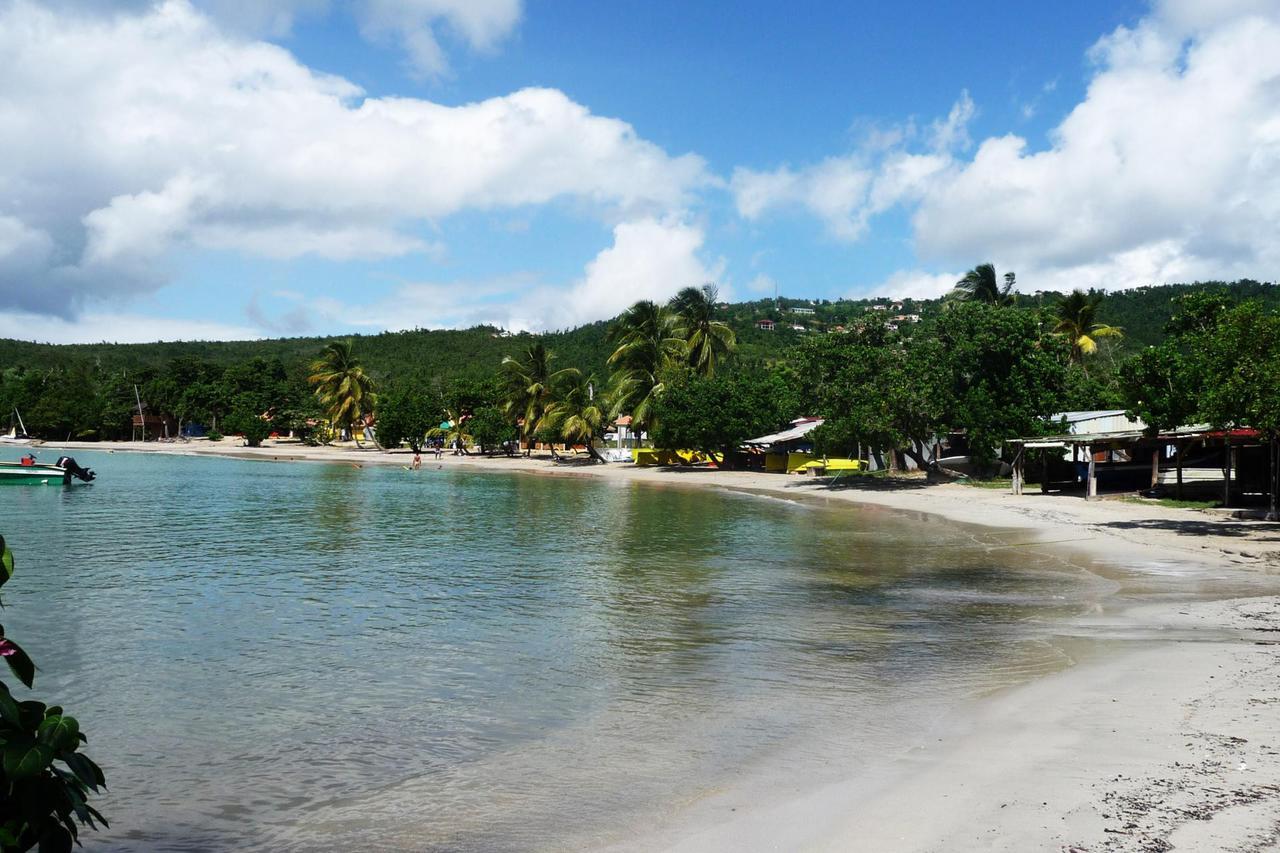 Bungalow Proche Plage Сент-Люс Екстер'єр фото